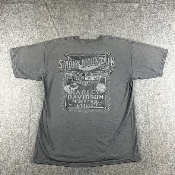 Harley Davidson T Shirt Men's Large Grey Skull Smoky Mountain Pigeon Gatlinburg - Picture 2 of 8